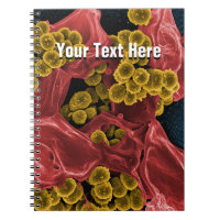 biology microbiology personalized notebook journal