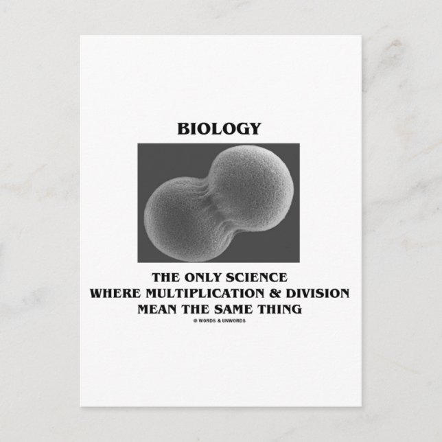 Biology Science Division Multiplication Same Thing Postcard (Front)