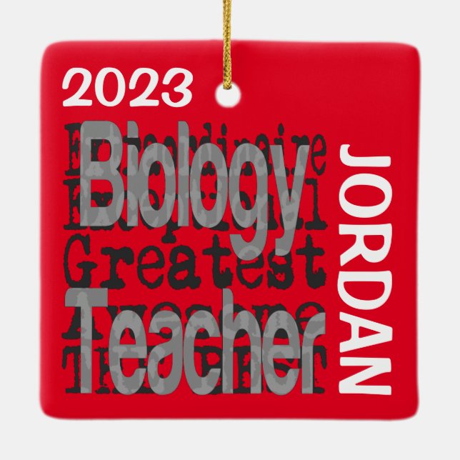 Biology Teacher Extraordinaire CUSTOM Ceramic Ornament (Back)