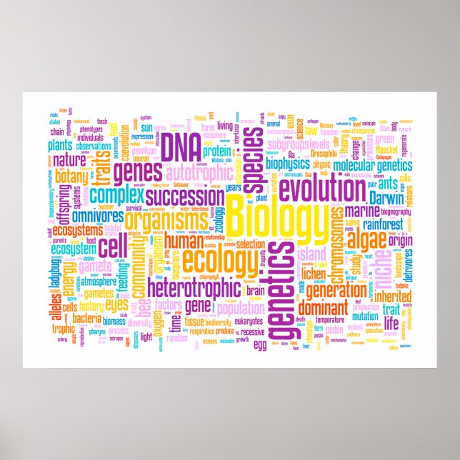 Biology Wordle No. 10 Sunrise Poster (Front)