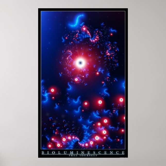 bioluminescence poster (Front)