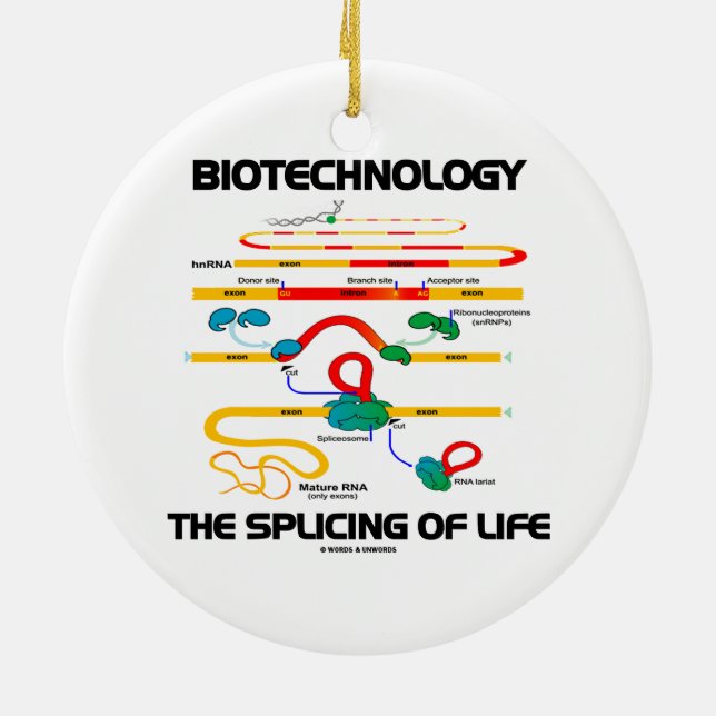 Biotechnology The Splicing Of Life (Mature RNA) Ceramic Ornament (Back)