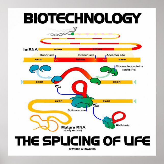 Biotechnology The Splicing Of Life (Mature RNA) Poster (Front)