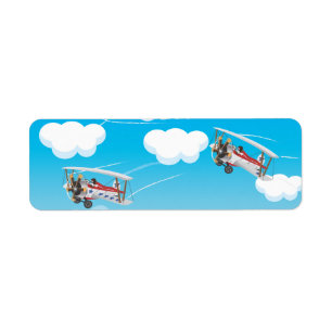 biplanes