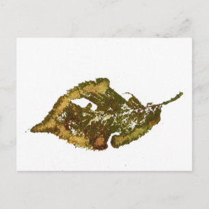 "Birch #2" Country Roads Postcard