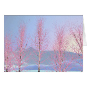 Birch à la crème de framboise