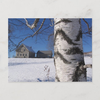 birch and home postcard
