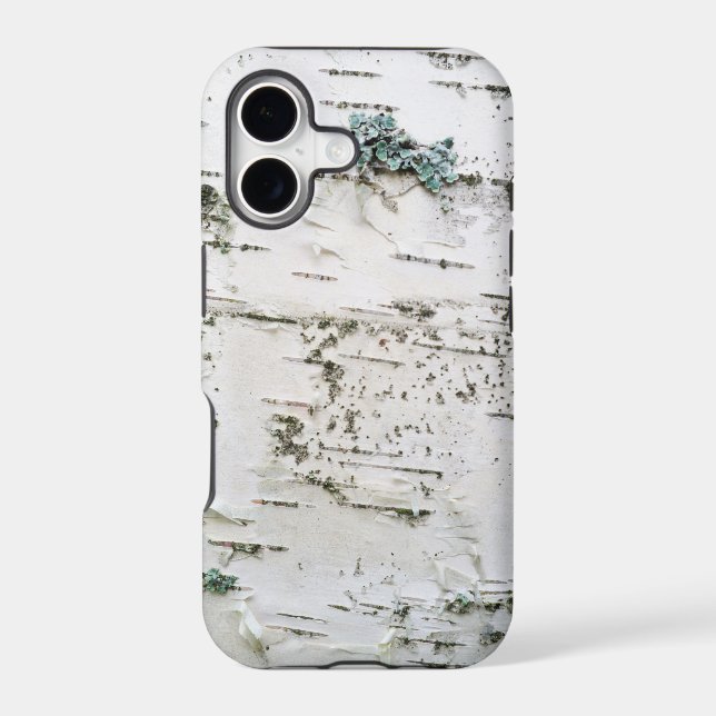 Birch bark (Back)