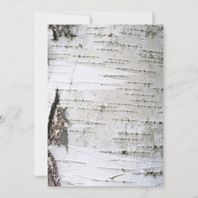 Birch bark (Front)