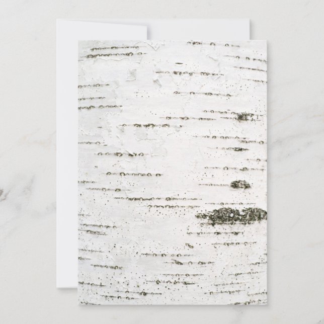 Birch bark (Front)