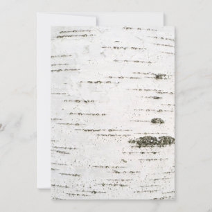 Birch bark
