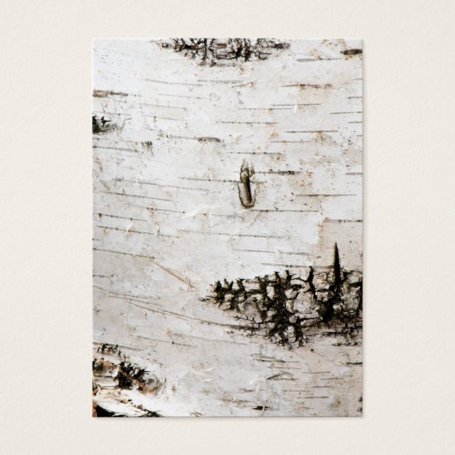 Birch bark 2330 (Front)