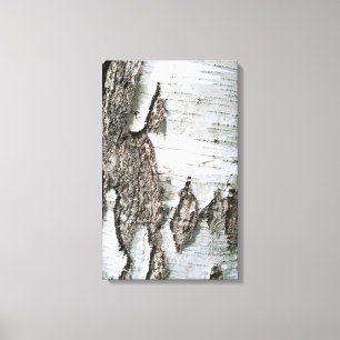 Birch bark canvas print