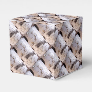 Birch Bark Favor Box