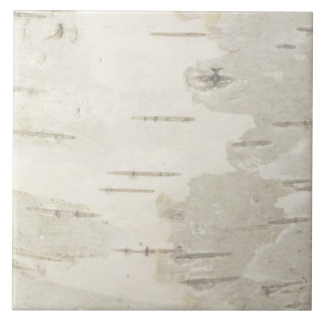 Birch Bark Nature Photography Ceramic Tile (Front)