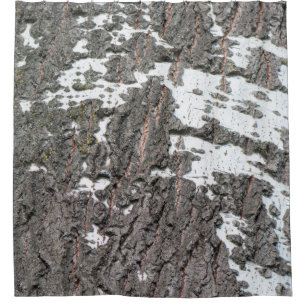 Birch bark pattern