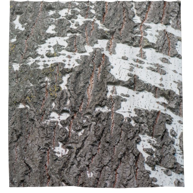 Birch bark pattern (Front)