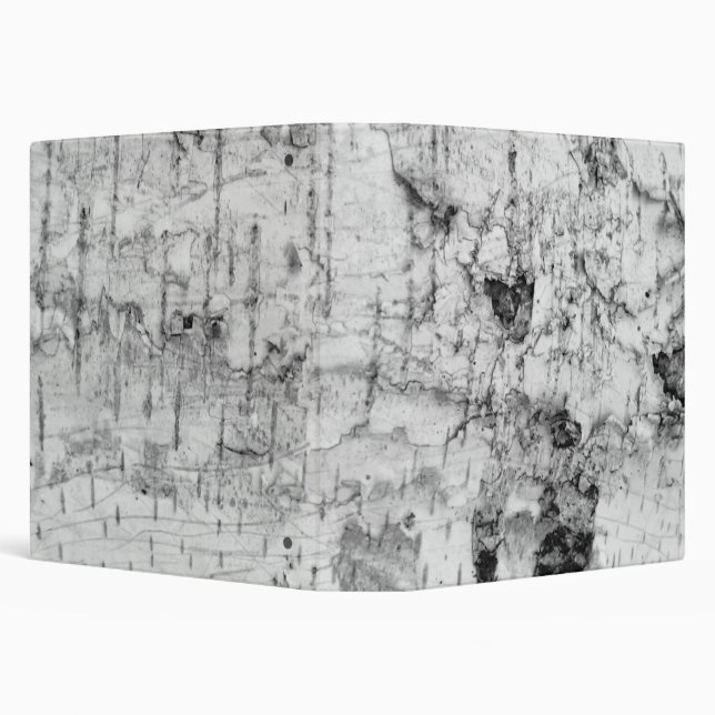 Birch bark pattern 3 ring binder (Background)