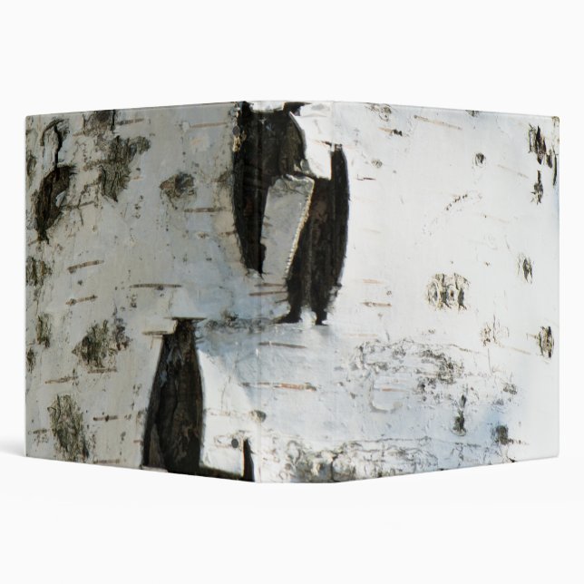 Birch bark pattern binder (Background)
