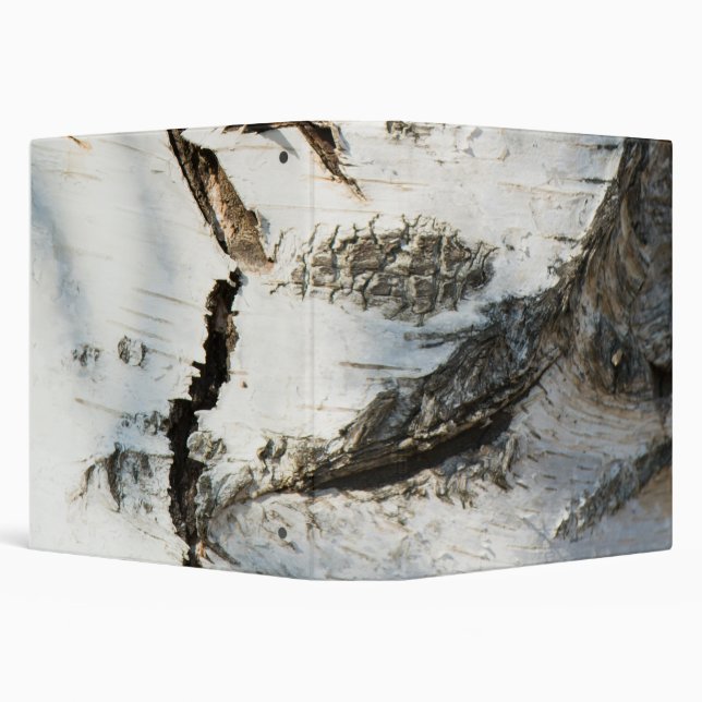 Birch bark pattern binder (Background)