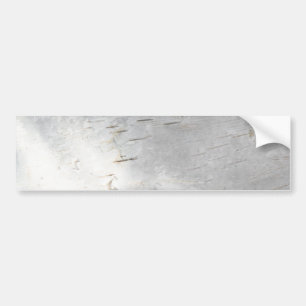 Birch bark pattern bumper sticker