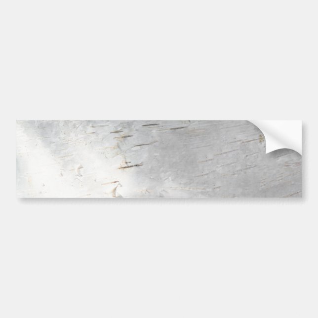 Birch bark pattern bumper sticker (Front)