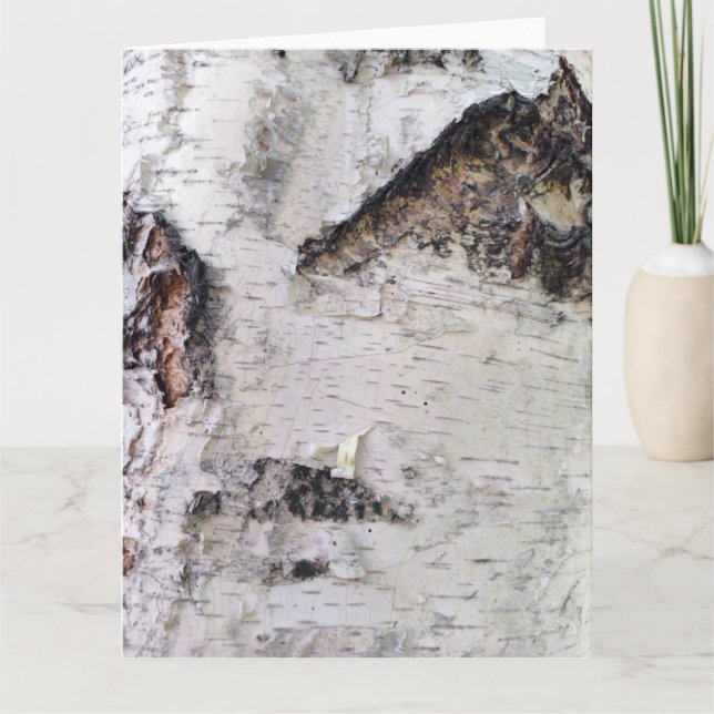 Birch bark pattern card (Front)