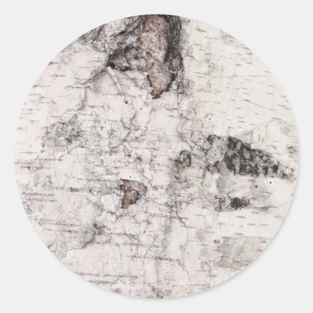 Birch bark pattern classic round sticker (Front)