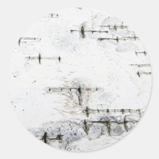 Birch bark pattern classic round sticker