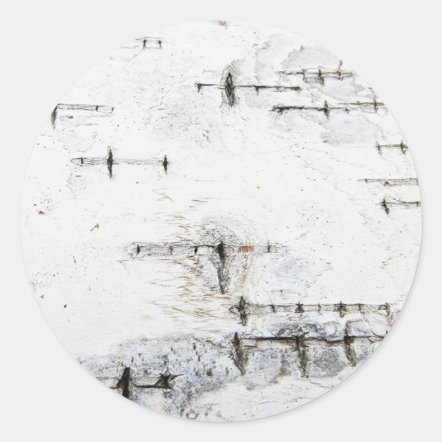 Birch bark pattern classic round sticker (Front)