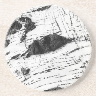 Birch bark pattern coaster