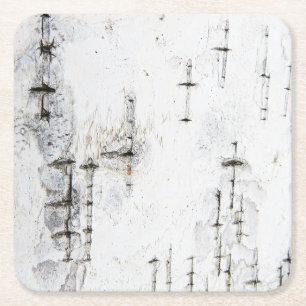 Birch bark pattern coasters