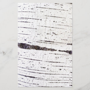 Birch bark pattern flyer