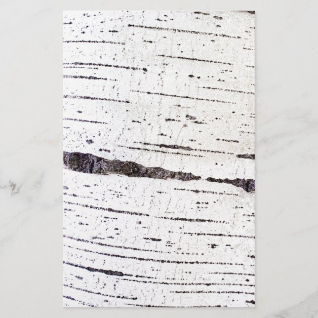 Birch bark pattern flyer (Front)