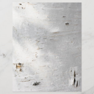 Birch bark pattern letterhead