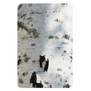 Birch bark pattern magnet
