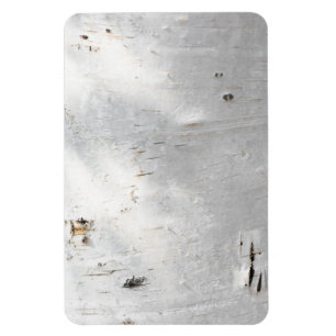 Birch bark pattern magnet