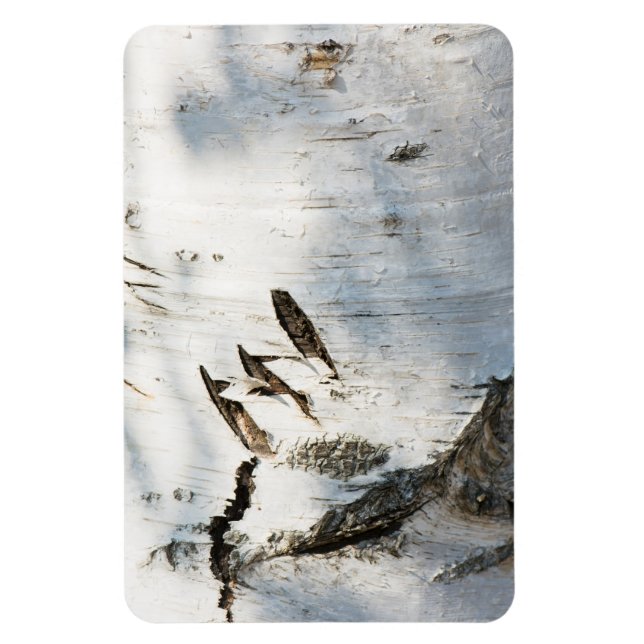 Birch bark pattern magnet (Vertical)