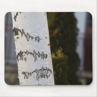 Birch bark pattern mouse pad
