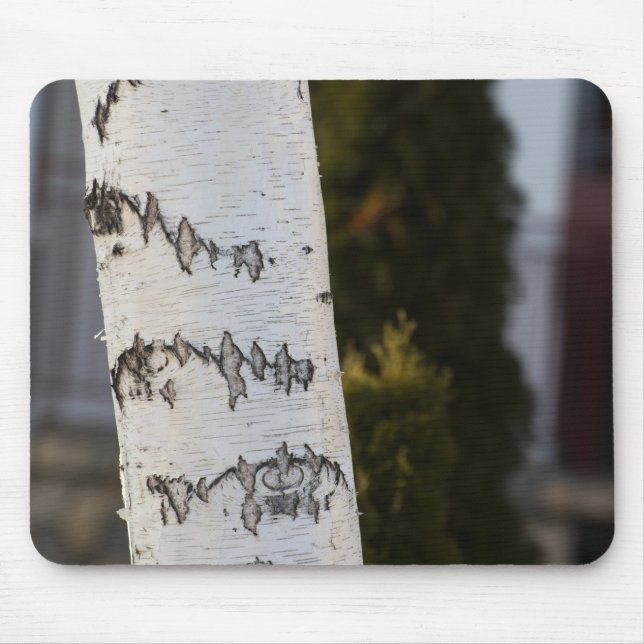 Birch bark pattern mouse pad (Front)