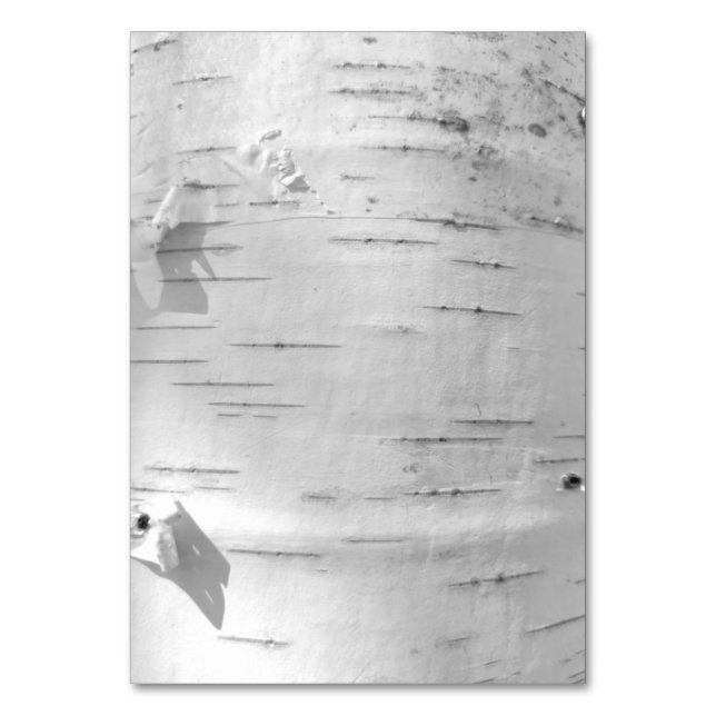 Birch bark pattern table number (Front)