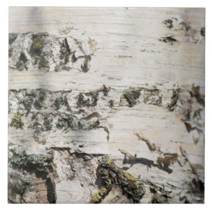 Birch bark pattern tile