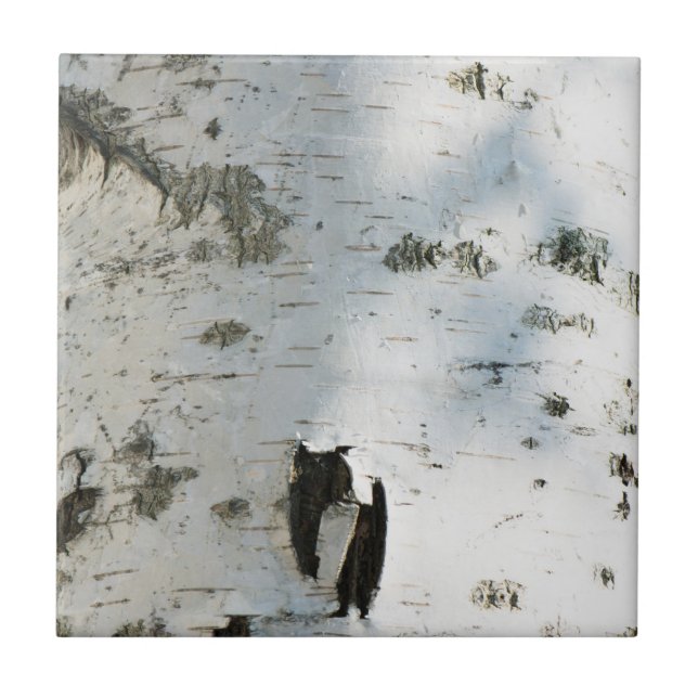 Birch bark pattern tile (Front)
