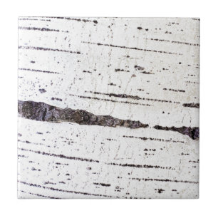 Birch bark pattern tile