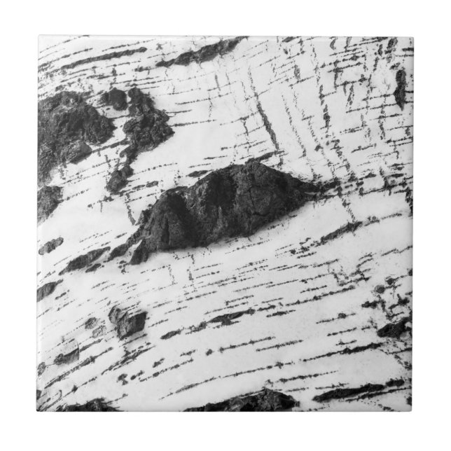 Birch bark pattern tile (Front)