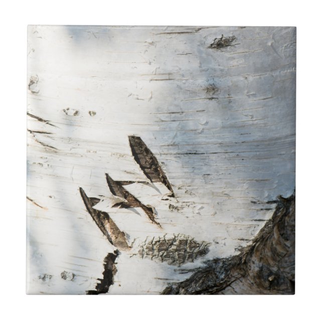 Birch bark pattern tile (Front)