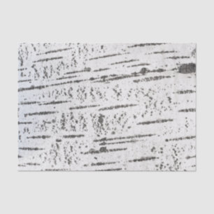 Birch bark pattern tissue paper