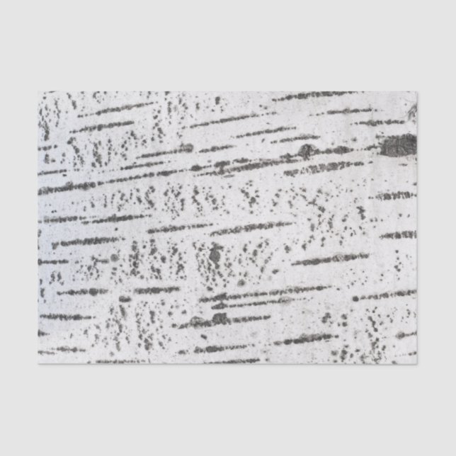 Birch bark pattern tissue paper (Front)