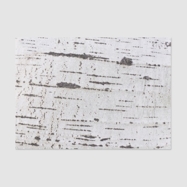 Birch bark pattern tissue paper (Front)