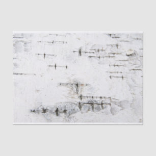 Birch bark pattern tissue paper